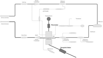 In vivo measurement of pediatric extracorporeal oxygenator insensible losses; a single center pilot study